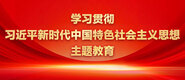 骚逼好痒视频学习贯彻习近平新时代中国特色社会主义思想主题教育_fororder_ad-371X160(2)